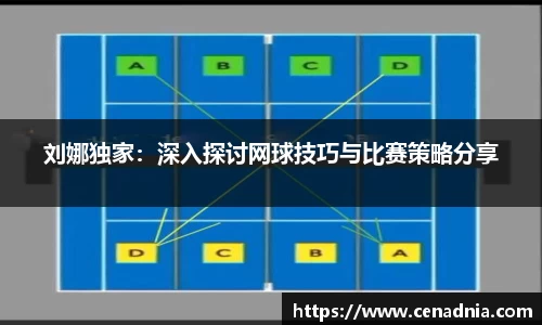 刘娜独家：深入探讨网球技巧与比赛策略分享