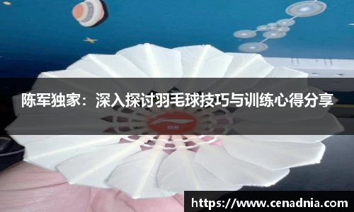 陈军独家：深入探讨羽毛球技巧与训练心得分享