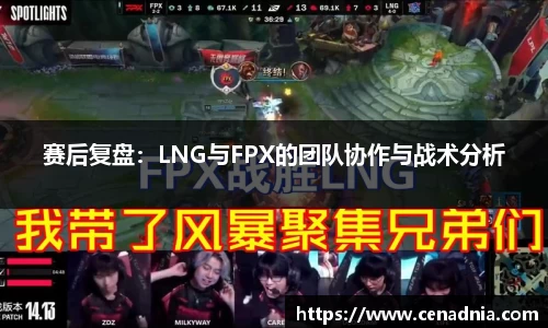赛后复盘：LNG与FPX的团队协作与战术分析
