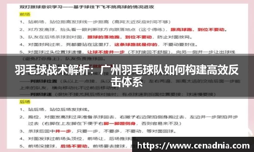 羽毛球战术解析：广州羽毛球队如何构建高效反击体系