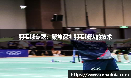 羽毛球专题：聚焦深圳羽毛球队的技术