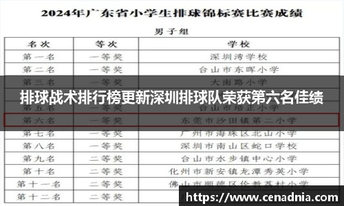 排球战术排行榜更新深圳排球队荣获第六名佳绩