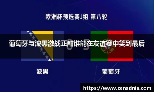 葡萄牙与波黑激战正酣谁能在友谊赛中笑到最后