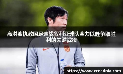 完美体育登录
